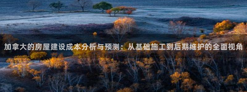 威九国际可以提现吗安全吗：加拿大的房屋建设成本分析与预测：从基础施工到后期维护的全面视角