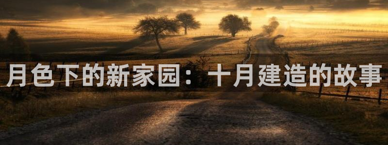 威九国际的金融服务：月色下的新家园：十月建造的故事