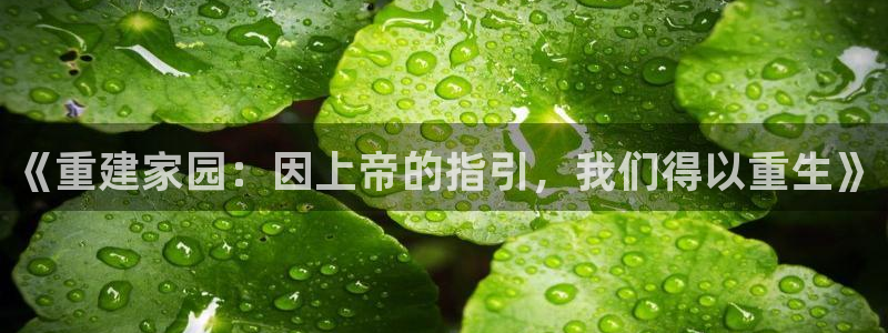 威九国际网站进入客服中心怎么进：《重建家园：因上帝的指引，我们得以重生》