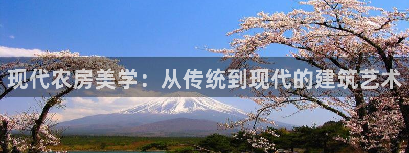 66m威九国际精选：现代农房美学：从传统到现代的建筑艺术