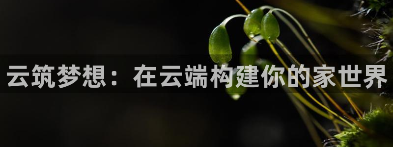 威九国际空降服务女演员叫什么名字：云筑梦想：在云端构建你的家世界