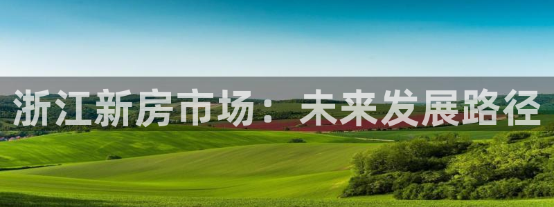 威九国际v18：浙江新房市场：未来发展路径