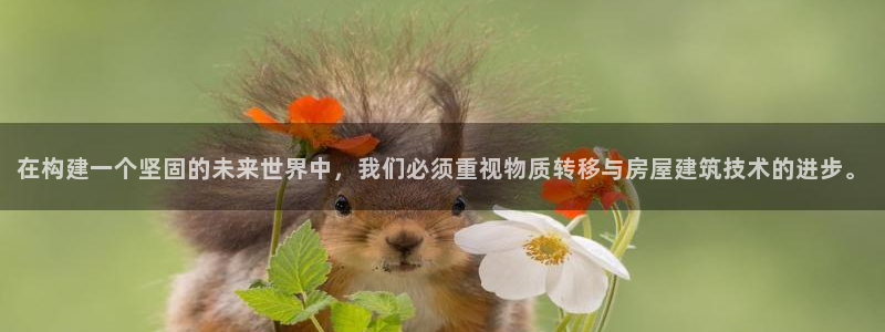 威九国际集团66m一6：在构建一个坚固的未来世界中，我们必须重视物质转移与房屋建筑技术的进步。