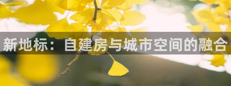 威九国际服：新地标：自建房与城市空间的融合