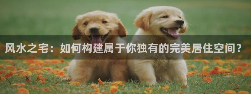 威九国际免费游戏：风水之宅：如何构建属于你独有的完美居住空间？