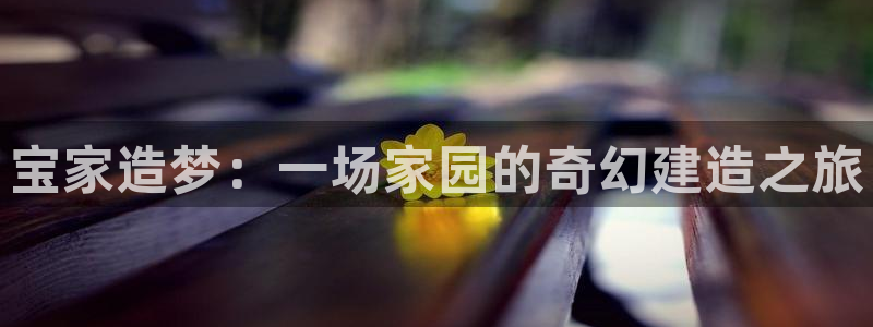 威九国际服：宝家造梦：一场家园的奇幻建造之旅