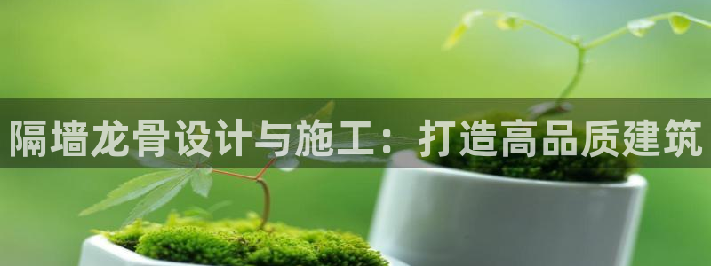 威九国际ppt免费：隔墙龙骨设计与施工：打造高品质建筑