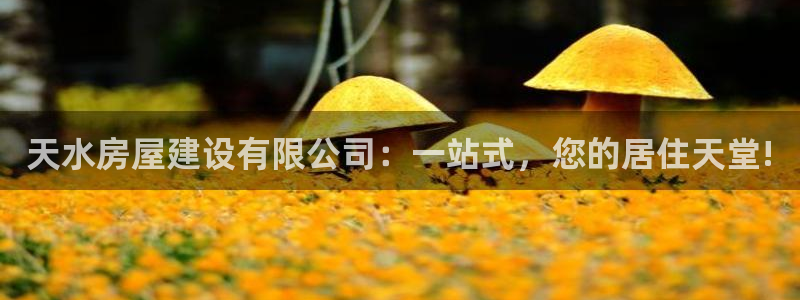 威九国际78cm：天水房屋建设有限公司：一站式，您的居住天堂!