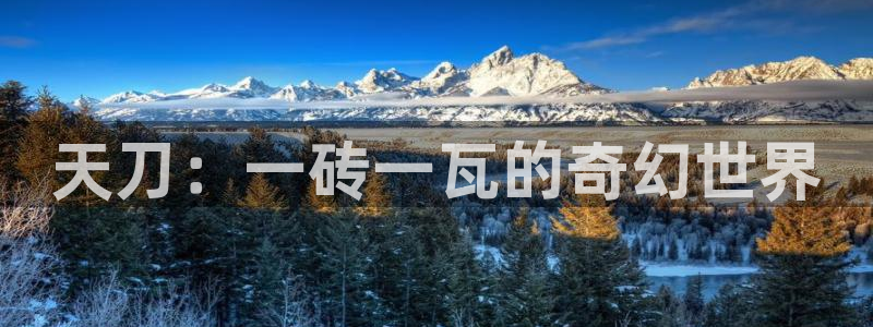 威九国际小广告：天刀：一砖一瓦的奇幻世界