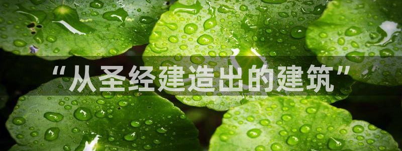 威九国际网站入口官网免费：“从圣经建造出的建筑”