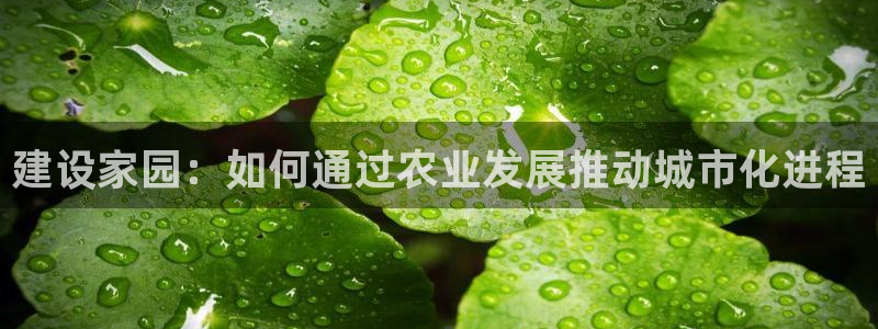 威九国际66m66官网：建设家园：如何通过农业发展推动城市化进程