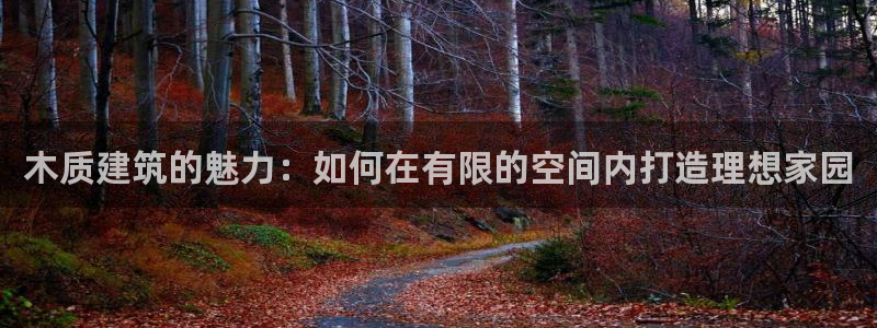 威九国际app网站：木质建筑的魅力：如何在有限的空间内打造理想家园