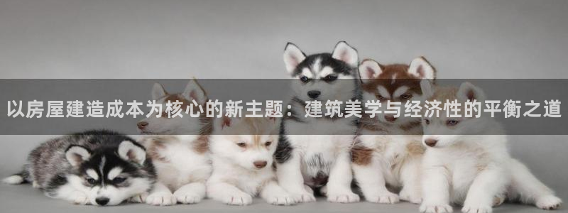 威九国际替好友去：以房屋建造成本为核心的新主题：建筑美学与经济性的平衡之道