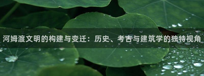 威九国际入囗：河姆渡文明的构建与变迁：历史、考古与建筑学的独特视角