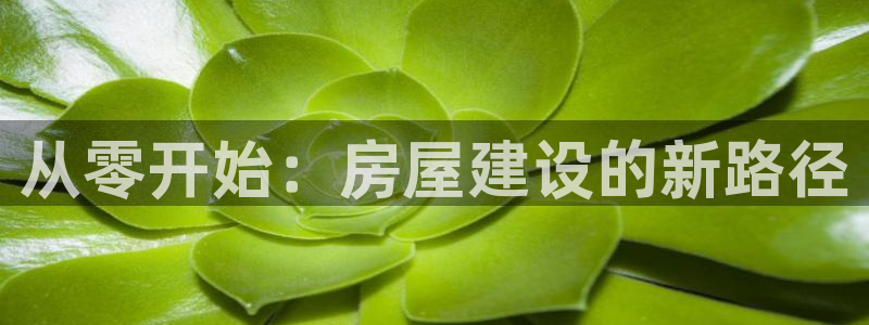 威九国际Sxsx：从零开始：房屋建设的新路径