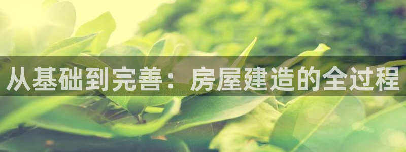 威九国际app下载：从基础到完善：房屋建造的全过程